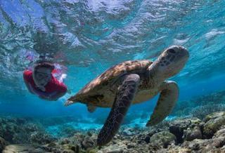 Lady Elliot Island Eco Resort المظهر الخارجي الصورة